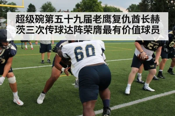 超级碗第五十九届老鹰复仇酋长赫茨三次传球达阵荣膺最有价值球员