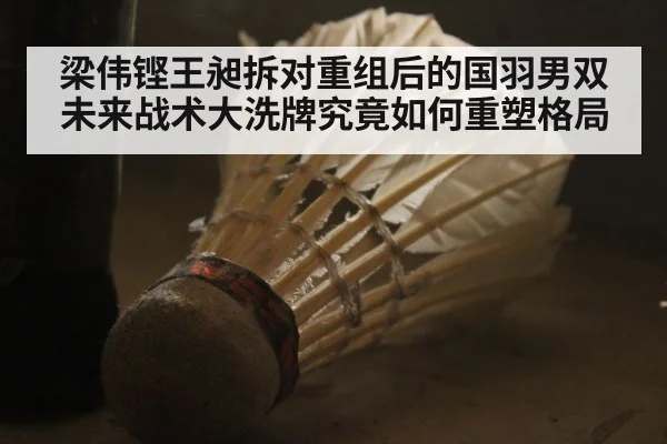梁伟铿王昶拆对重组后的国羽男双 未来战术大洗牌究竟如何重塑格局