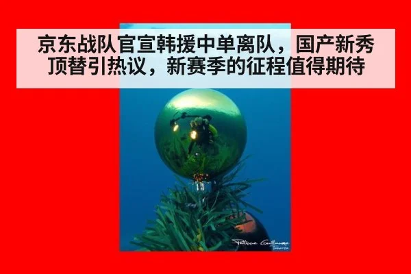 京东战队官宣韩援中单离队,国产新秀顶替引热议,新赛季的征程值得期待